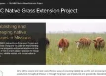 MU/MDC Native Grass Extension Project