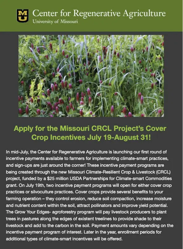 Newsletter Screen Shot July 2023