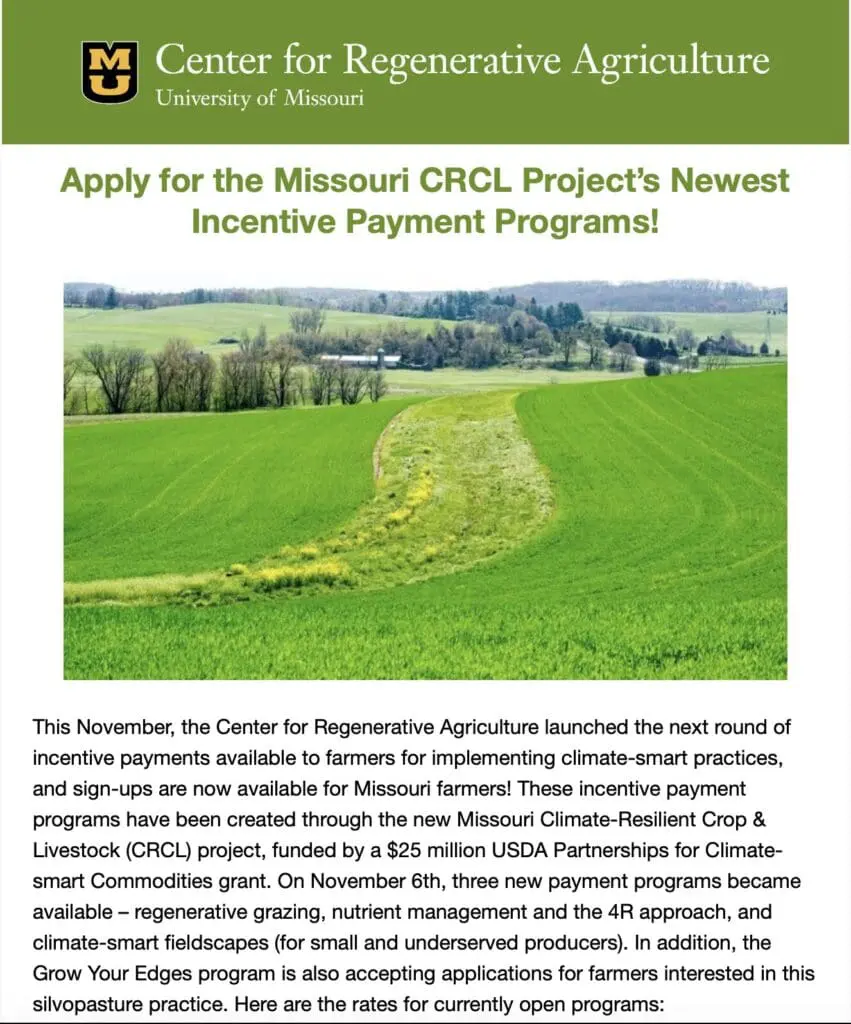 Newsletter Screen Shot Nov 2023