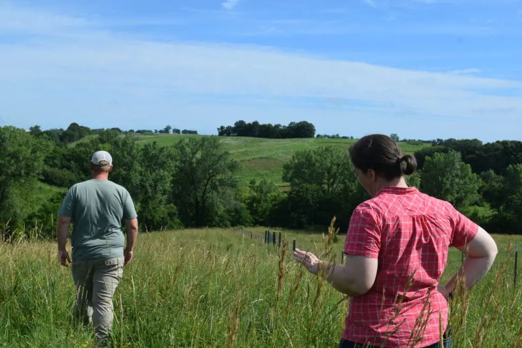 Two farmers walk into a field, showcasing the Missouri native grasses growing there.