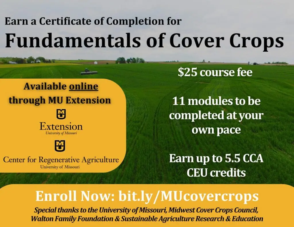 Canvas Course Promo