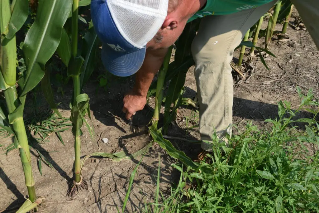 A farmer showcases the rows created when doing nutrient management practices.