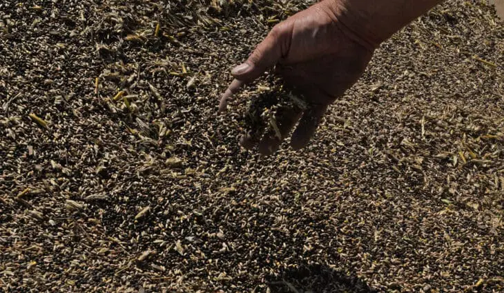 Farming sustainably comes with a financial cost