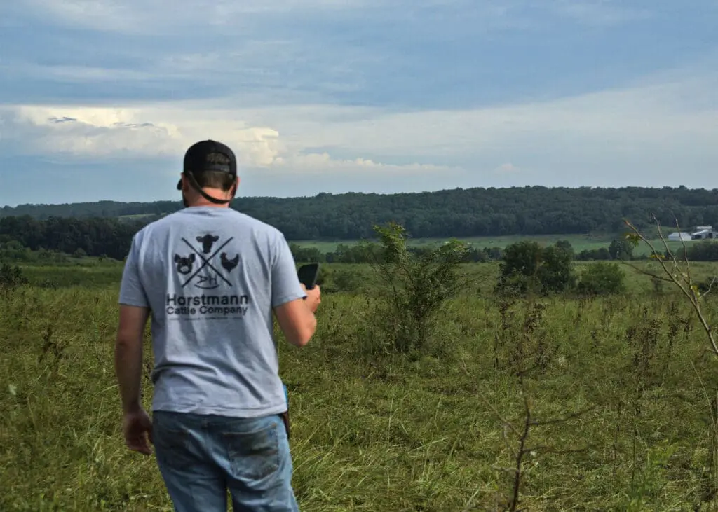 A farmer wearing a gray shirt checks the pasture his cows were previously in.