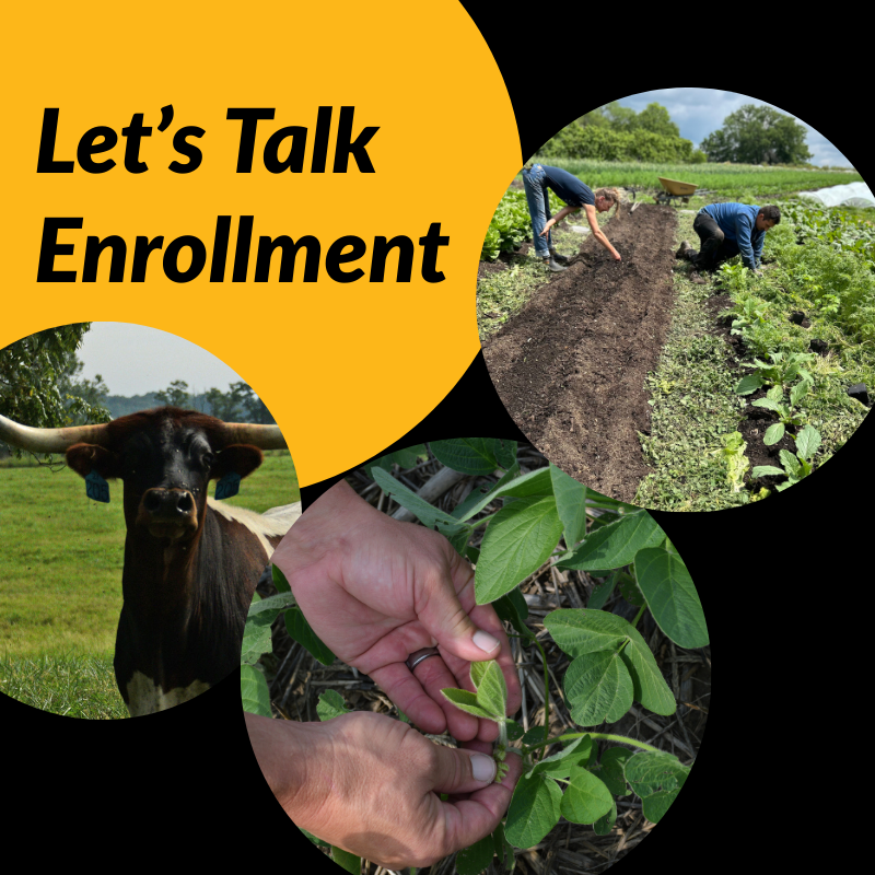 Let’s Talk Enrollment (1)
