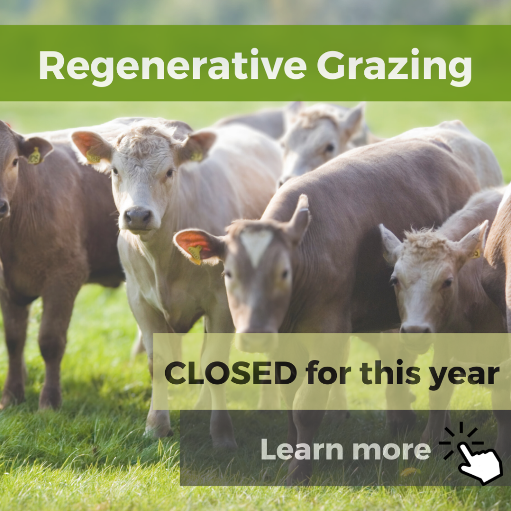 Website Thumbnails (1)