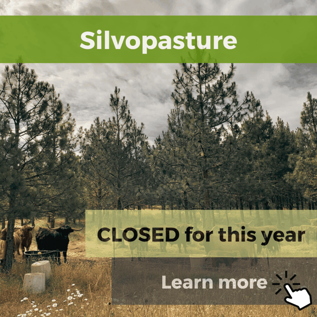 Copy Of Practices Crcl